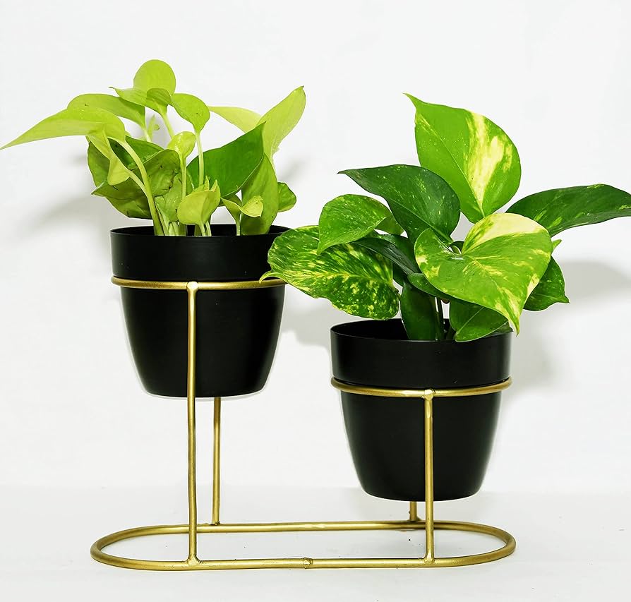 Black And Gold Metal Plant Stand For Home Decor Pack Of 2 - Image 4