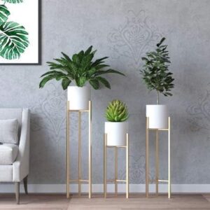 Gold Metal Plant Stand For Kitchen Pack Of 3