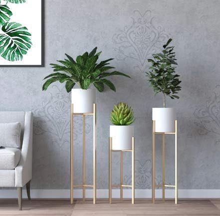 Gold Metal Plant Stand For Kitchen Pack Of 3