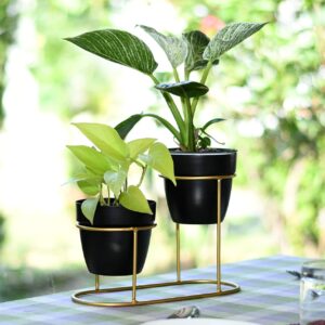 Black And Gold Metal Plant Stand For Home Decor Pack Of 2